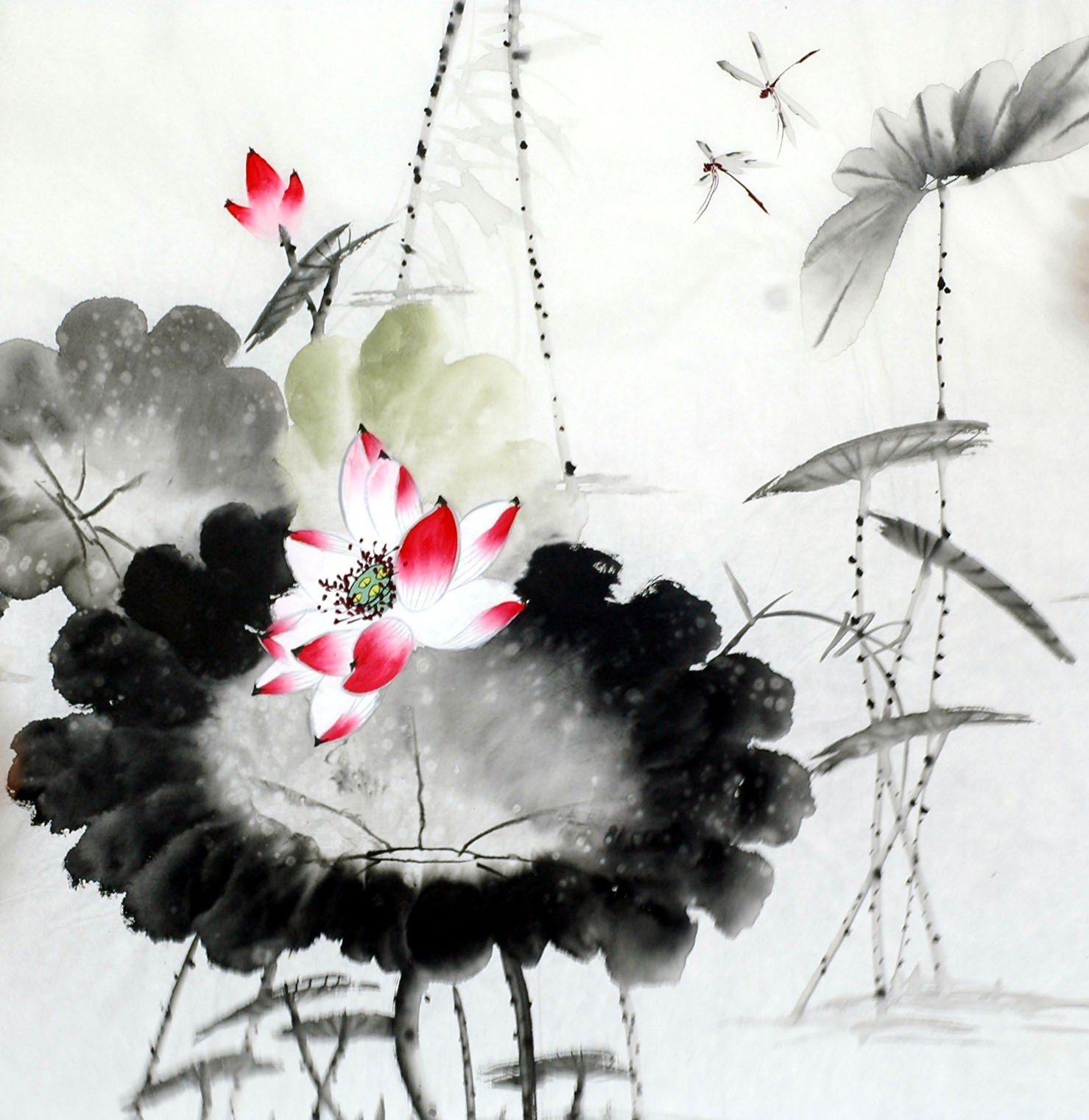 Chinese Lotus Painting - CNAG011727