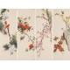 Peach Blossom - CNAG001305