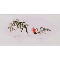 Mandarin Duck - CNAG001677