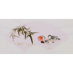 Mandarin Duck - CNAG001694