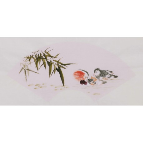 Mandarin Duck - CNAG001694