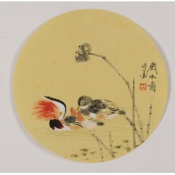 Mandarin Duck - CNAG001796