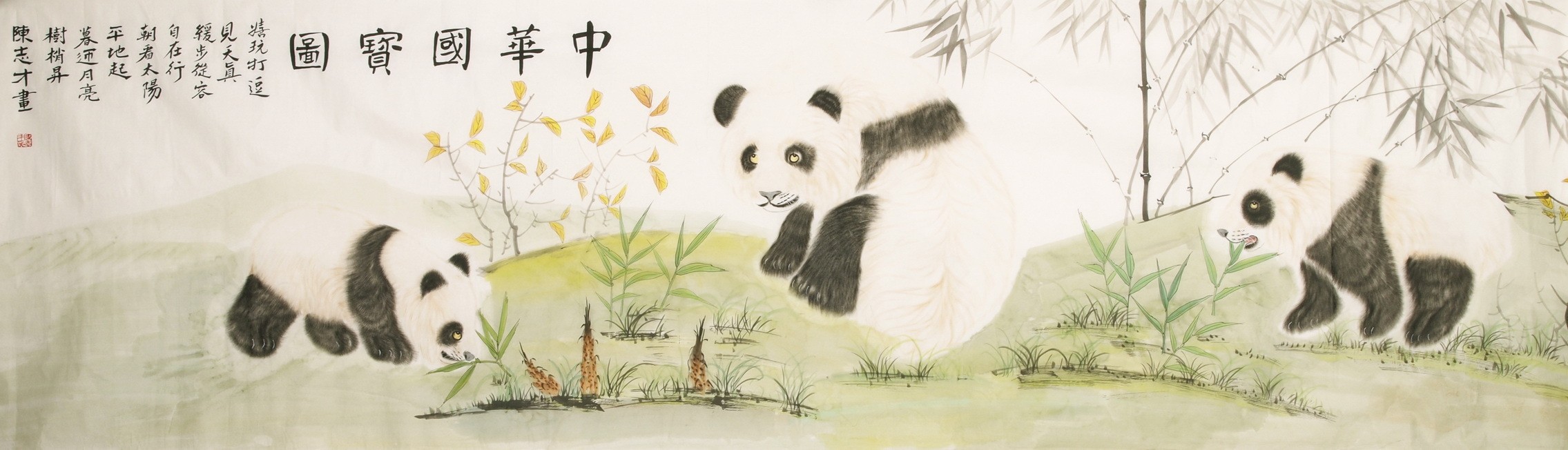 Panda - CNAG001909