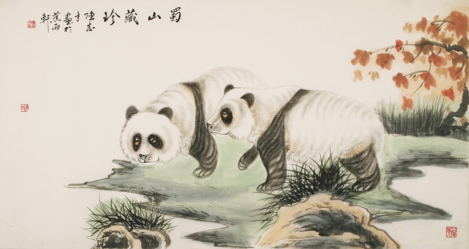 Panda - CNAG001949