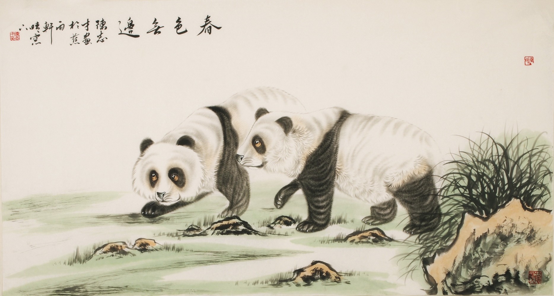 Panda - CNAG001950