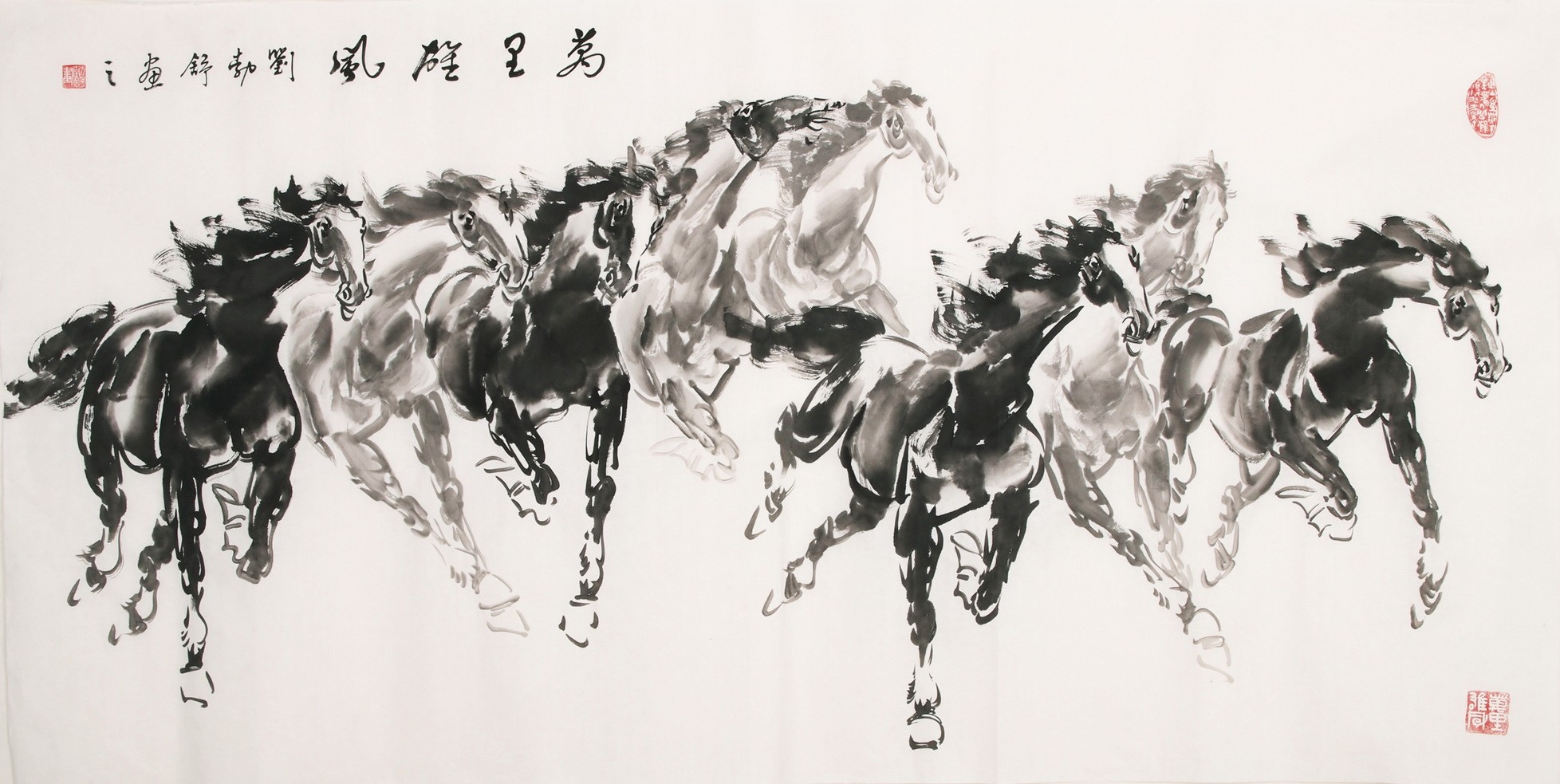 Horse - CNAG001978
