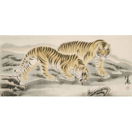 Tiger - CNAG002033