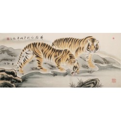 Tiger - CNAG002035