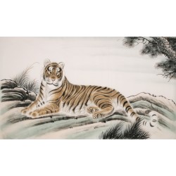 Tiger - CNAG002095