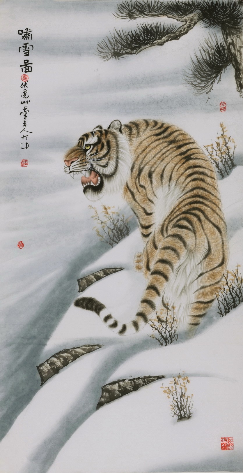 Tiger - CNAG000021