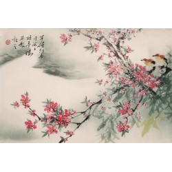Peach Blossom - CNAG003275