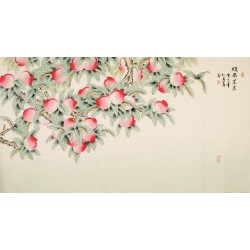 Peach Blossom - CNAG003926