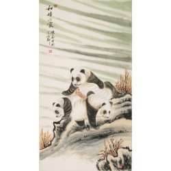 Panda - CNAG000004