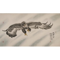 Eagle - CNAG004002