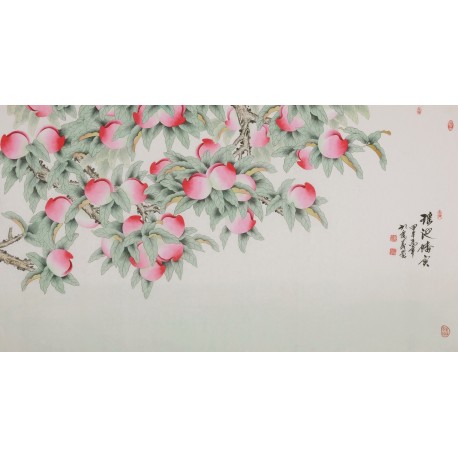 Peach Blossom - CNAG004093