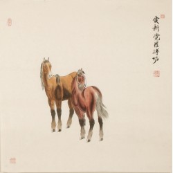 Horse - CNAG004454