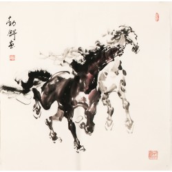 Horse - CNAG004464