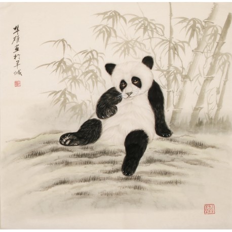Panda - CNAG004469