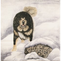 Dog - CNAG004503