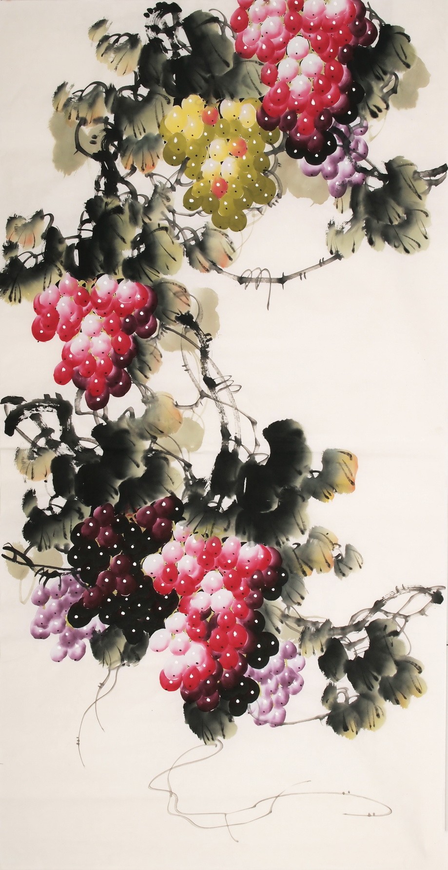 Grapes - CNAG000515
