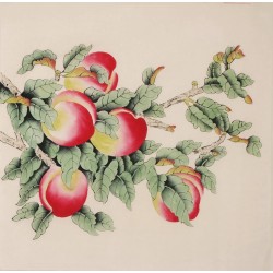 Peach Blossom - CNAG005726