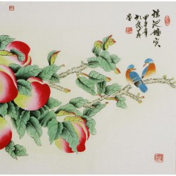Peach Blossom - CNAG005753