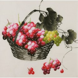 Grapes - CNAG005847