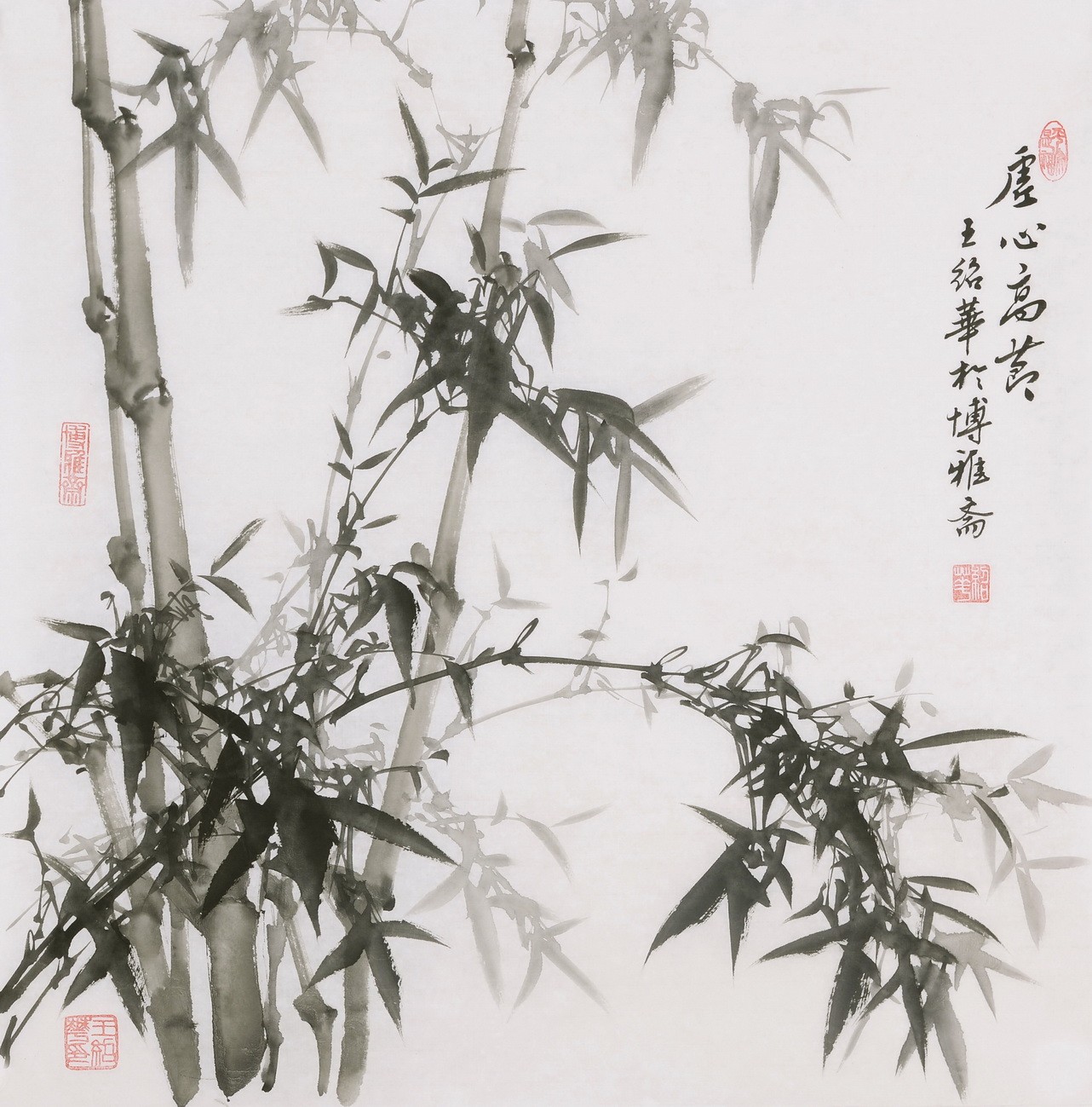 Ink Bamboo - CNAG005935