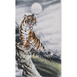 Tiger - CNAG000060