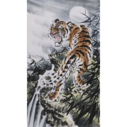 Tiger - CNAG000063