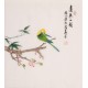 Parrot - CNAG006301