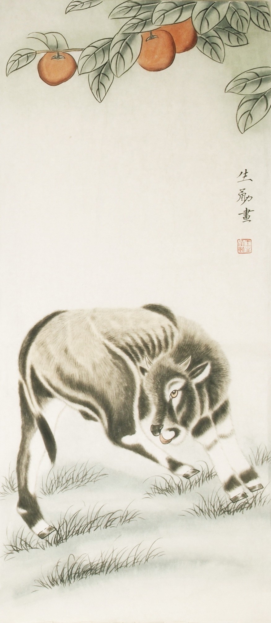 Cattle - CNAG000657