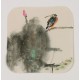Kingfisher - CNAG006614