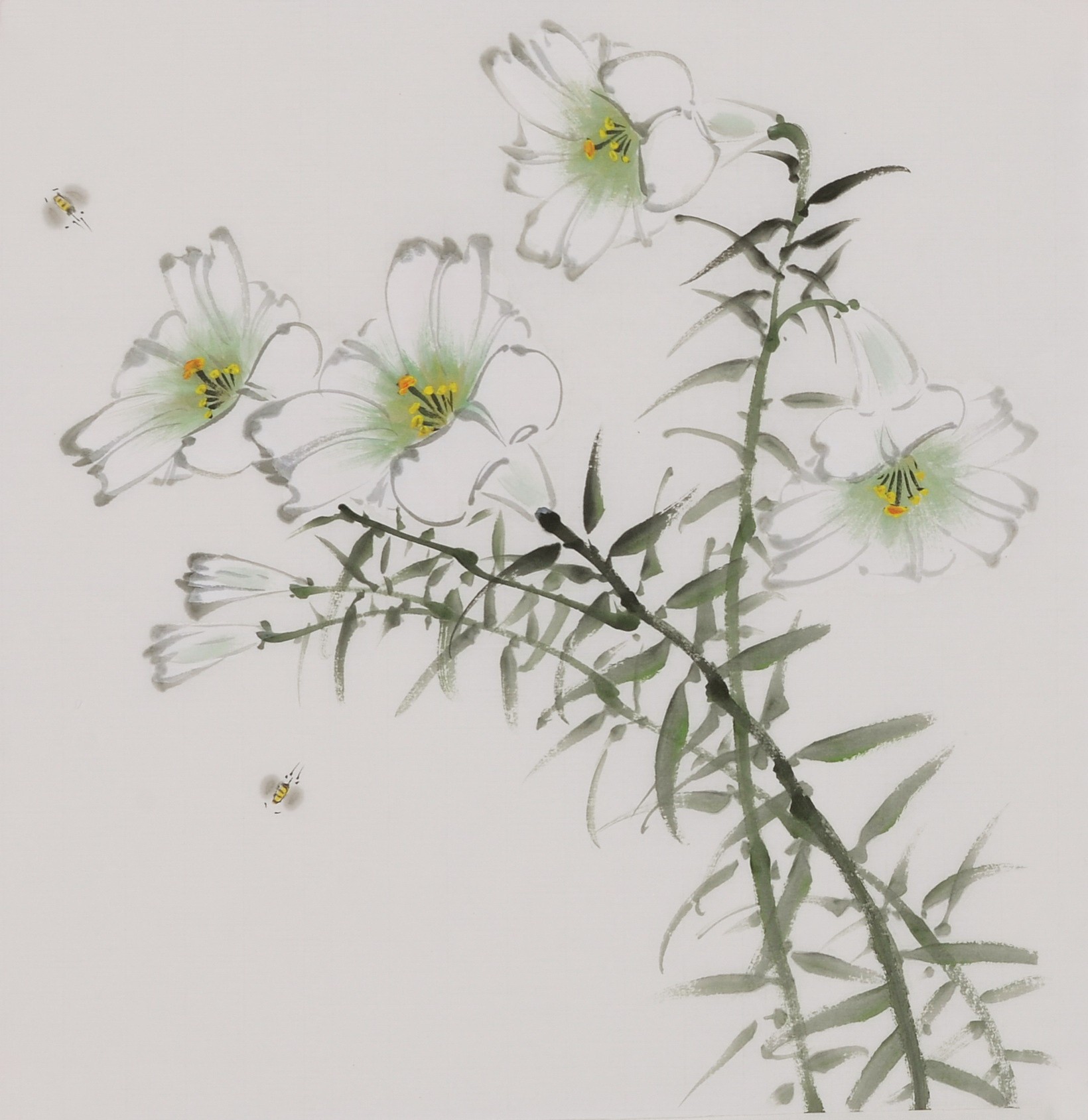 Bees - CNAG006681