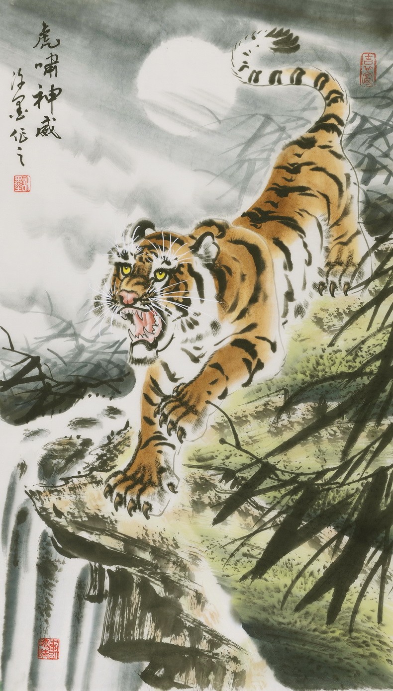 Tiger - CNAG000070