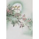Peach Blossom - CNAG000951