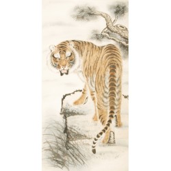 Tiger - CNAG000001