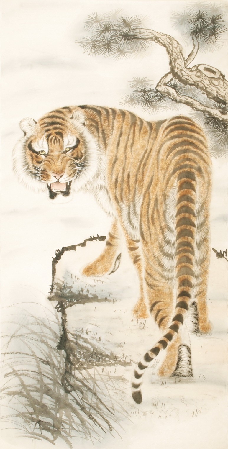 Tiger - CNAG000001