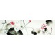 Chinese Lotus Painting - CNAG010097