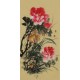 Peony - CNAG001001