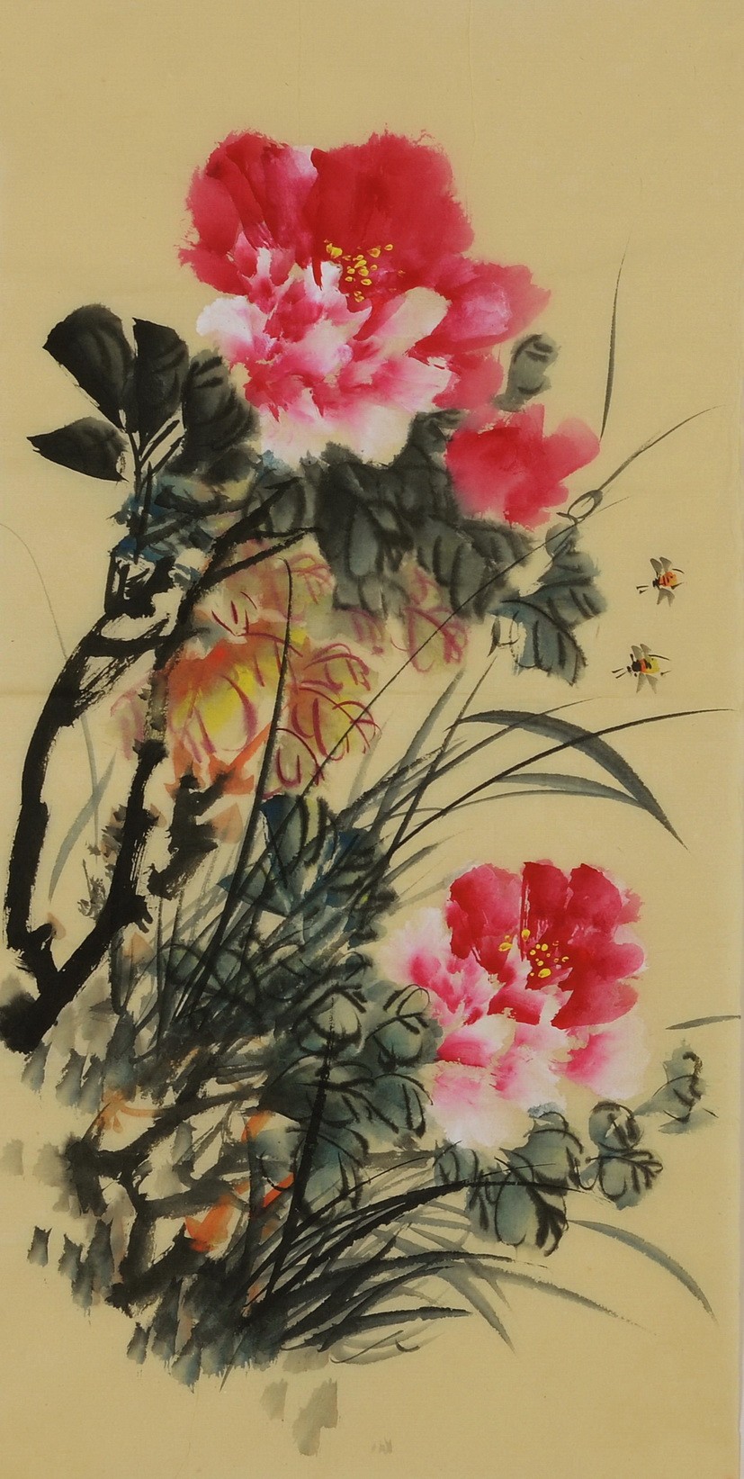 Peony - CNAG001001