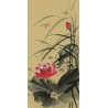 Lotus - CNAG001002
