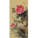 Peony - CNAG001003