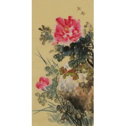 Peony - CNAG001003