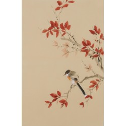 Other Birds - CNAG001005