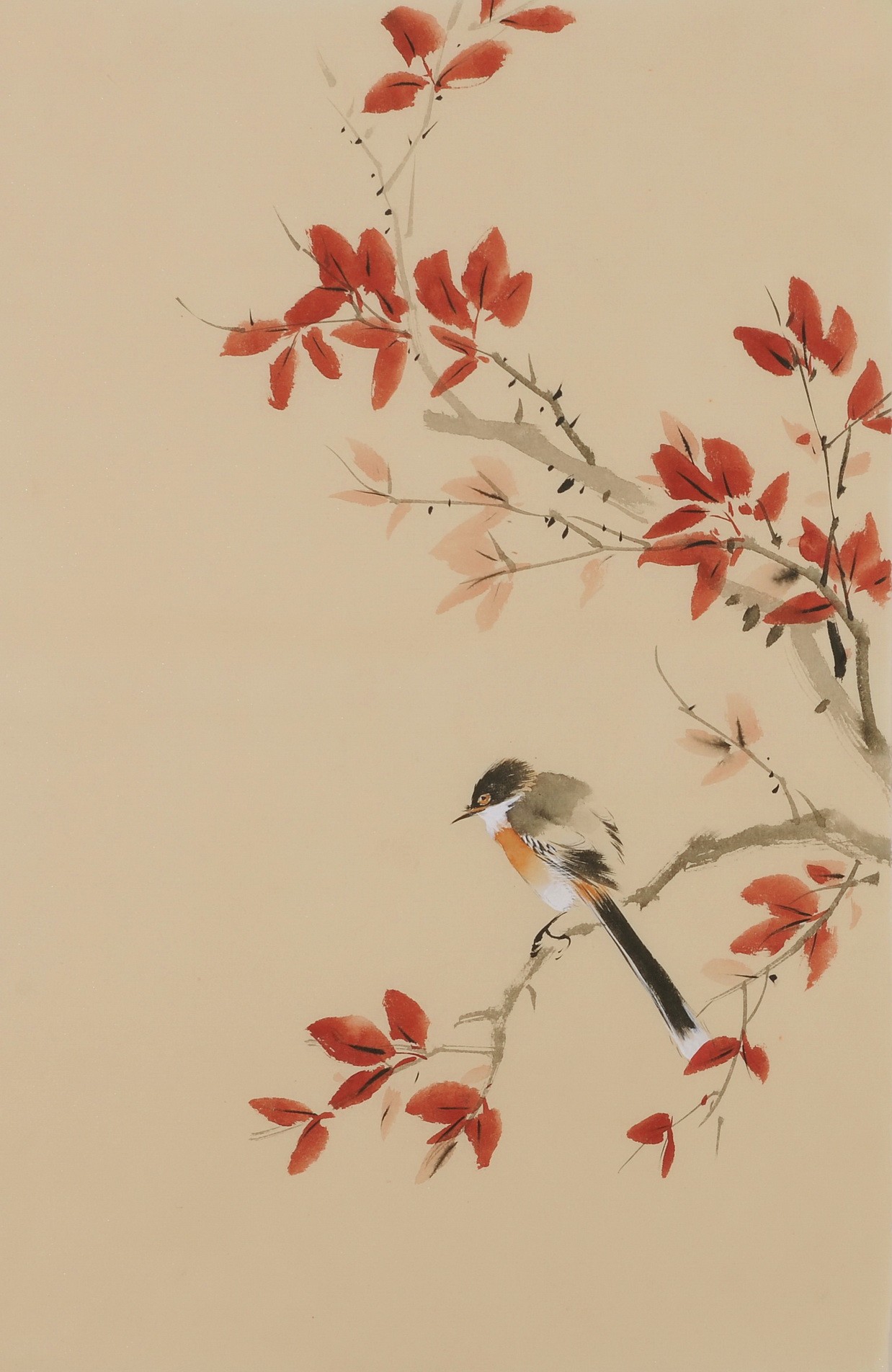 Other Birds - CNAG001005