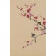 Plum - CNAG001007