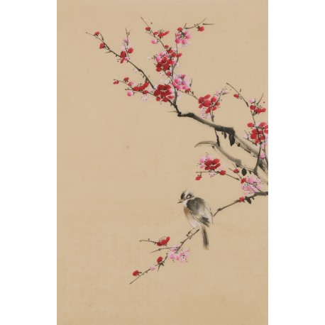 Plum - CNAG001007
