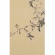 Green Bamboo - CNAG001008