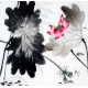 Chinese Lotus Painting - CNAG010185